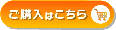 ご購入はこちら